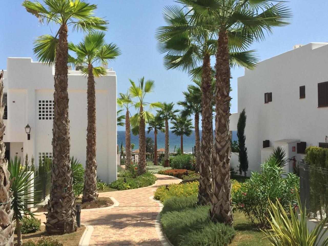 Mango San Juan De Los Terreros Exterior foto